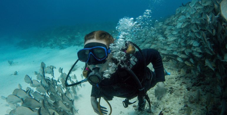 The Basics of Scuba Diving